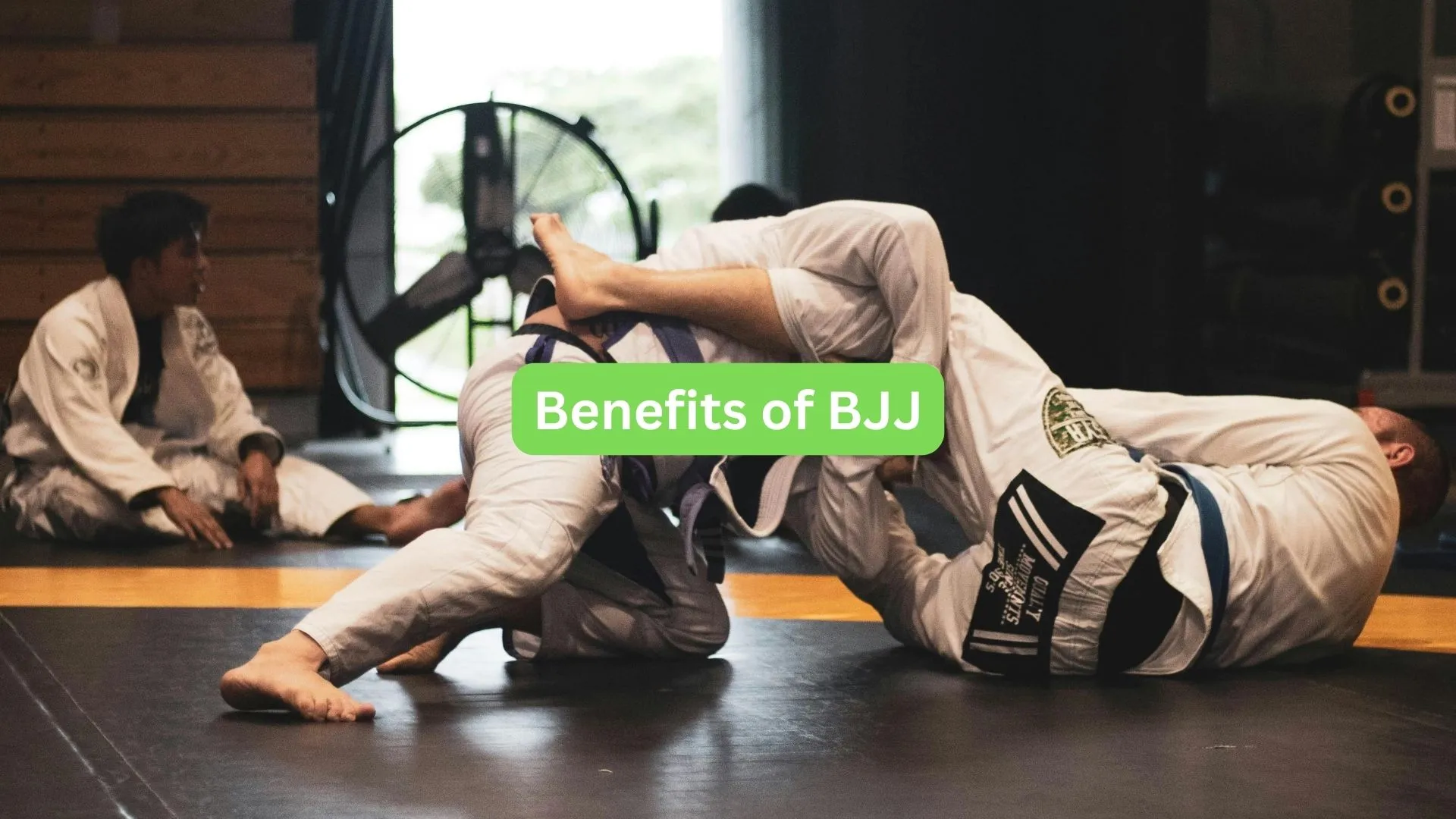 Benefits of BJJ (Brazilian Jiu-Jitsu): A Comprehensive Guide