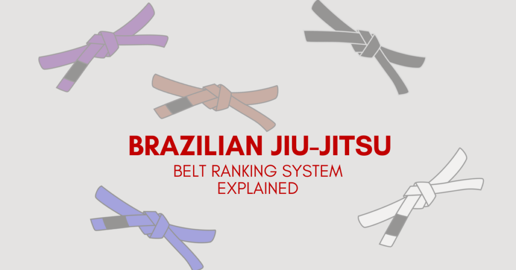 bjj belts ranking