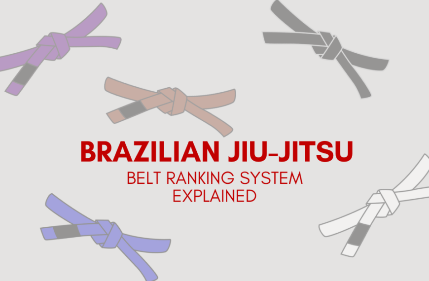 bjj belts ranking