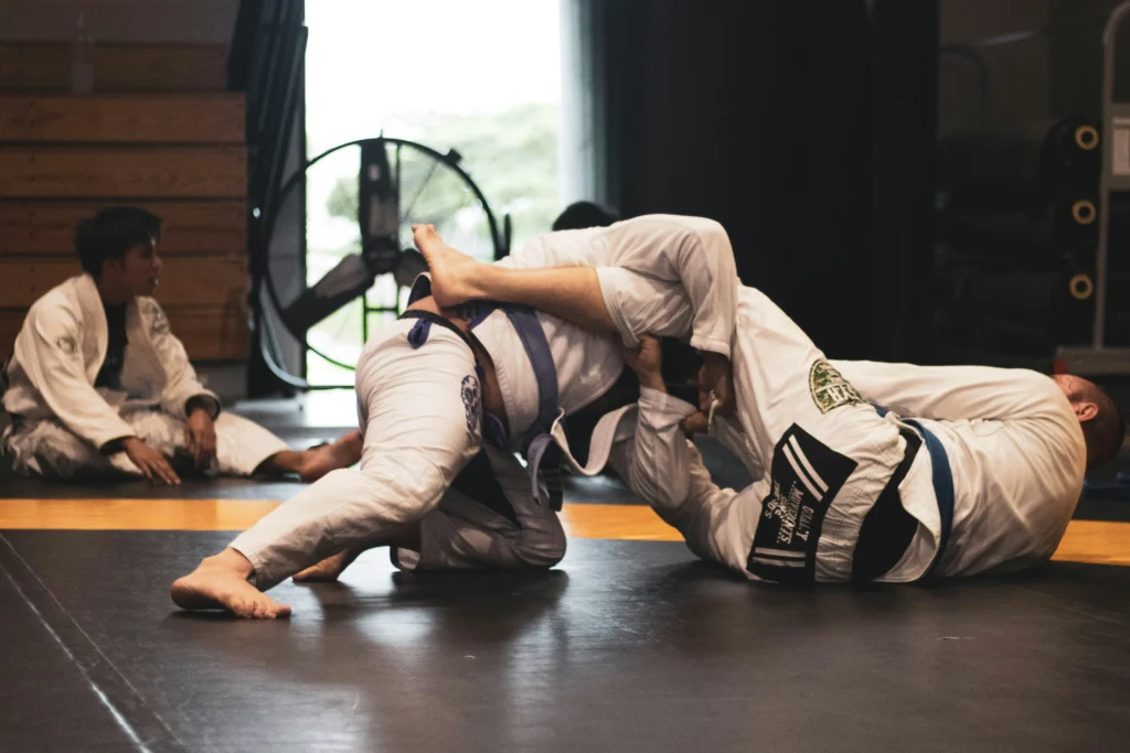 bjj workouts at home
