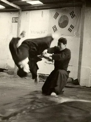 Hapkido