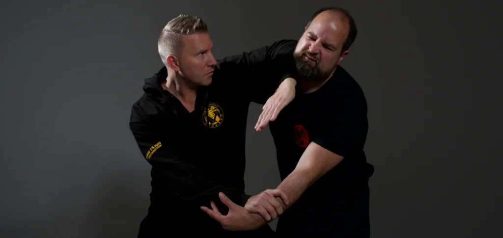 what is wing chun