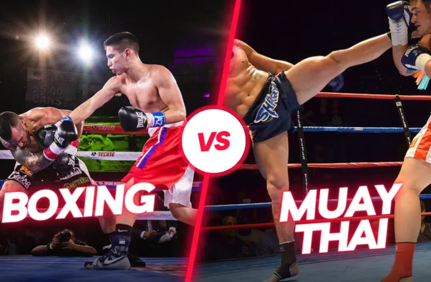 boxing or muay thai