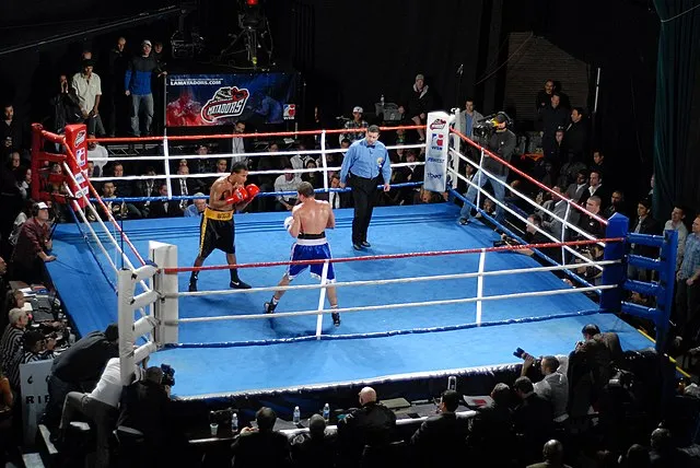 boxing vs mma