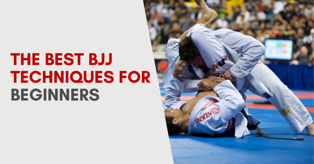 best bjj techniques for beginners