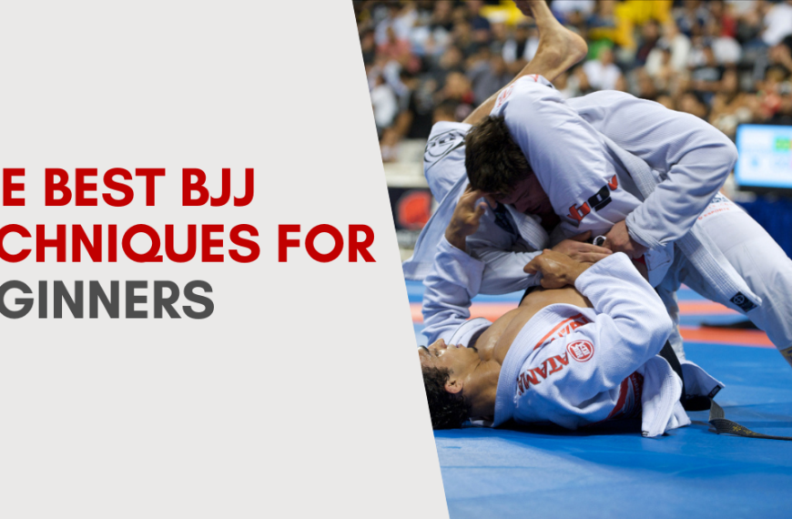 best bjj techniques for beginners